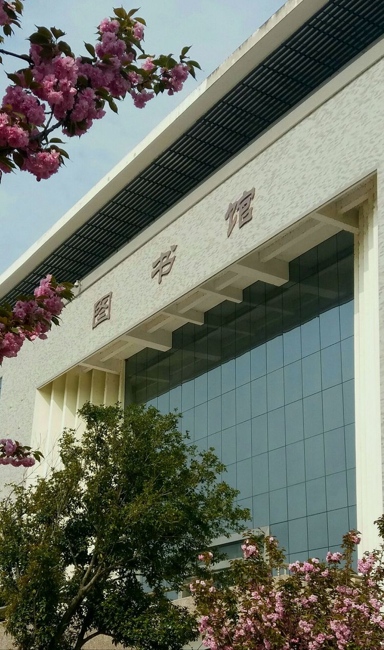 陕西汉中职业技术学院图片